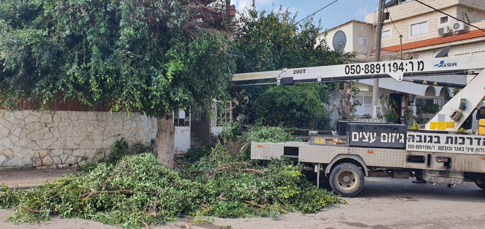 WhatsApp Image 2020-01-29 at 1.18.39 PM.jpeg.jpeg